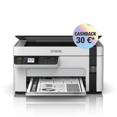 Modalità di stampa: Bianco e nero; Formato Stampa: A4; Risoluzione stampa  colore max verticale: Non presente; Velocità di stampa b/n: 20 ppm;  Velocità